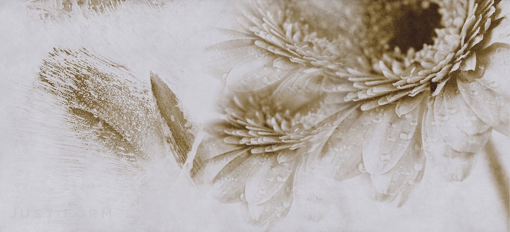 Обои Crazy Flowers фабрика Inkiostro Bianco фотография № 3