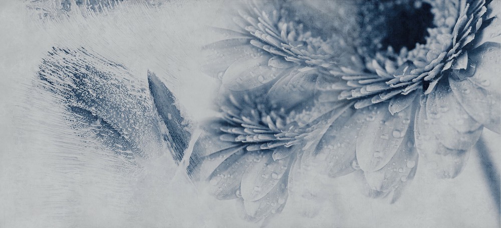 Обои Crazy Flowers фабрика Inkiostro Bianco фотография № 2