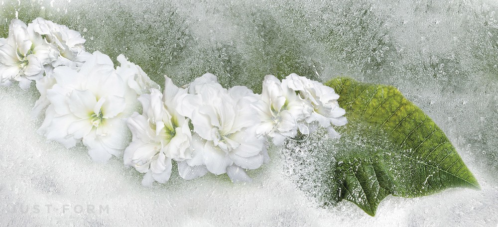 Обои Iceflor фабрика Inkiostro Bianco фотография № 1