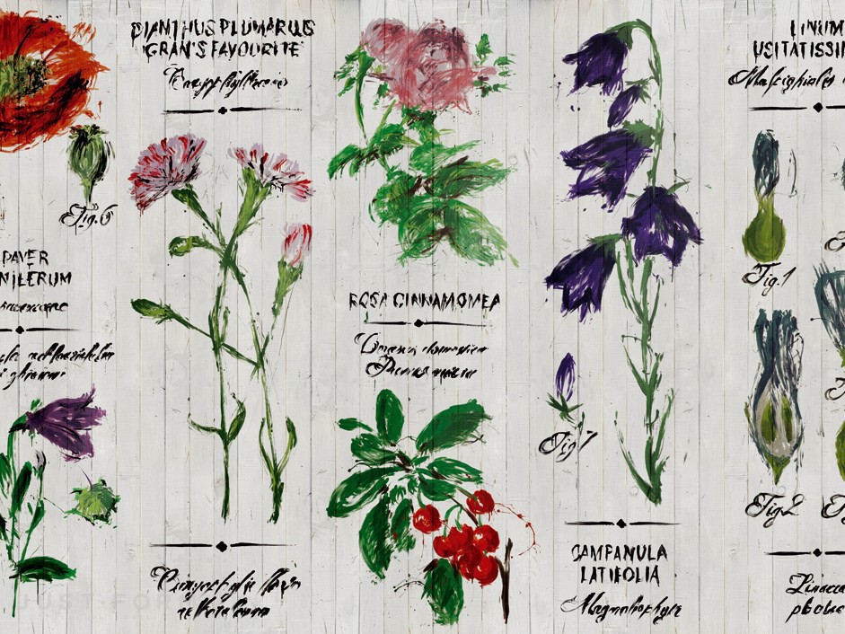 Обои Pianthus фабрика Wall & Deco фотография № 1