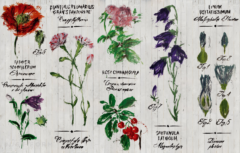 Обои Pianthus фабрика Wall & Deco фотография № 2