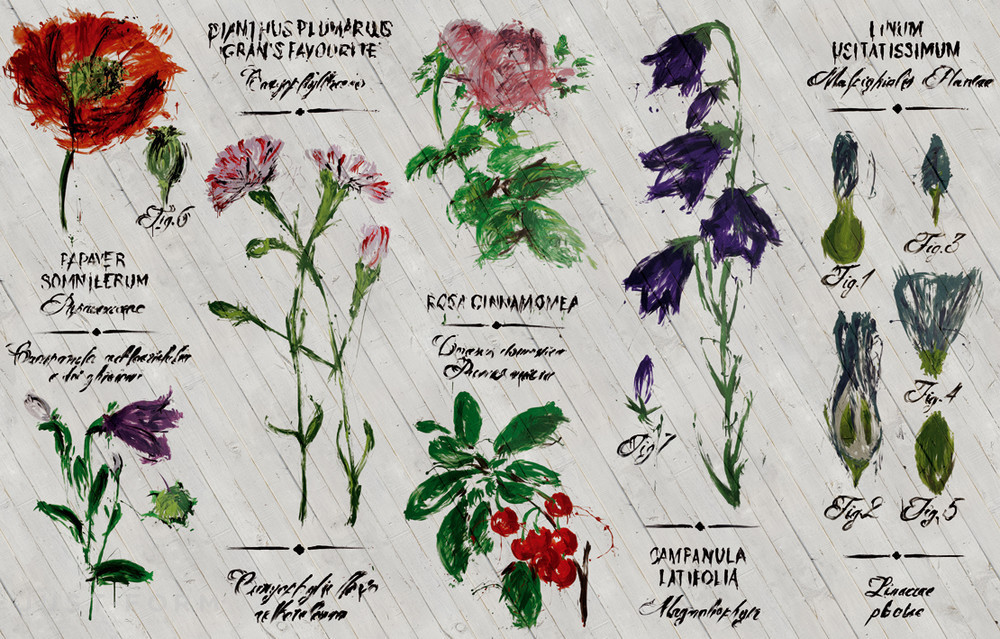 Обои Pianthus фабрика Wall & Deco фотография № 6