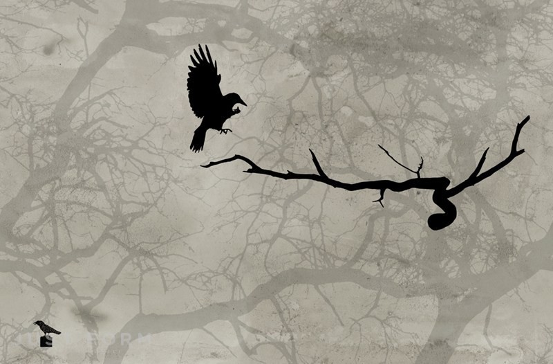  Crow фабрика Wall & Deco фотография № 4
