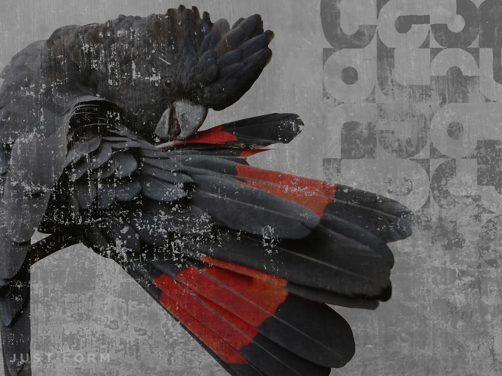  Cockatoo фабрика Wall & Deco фотография № 1