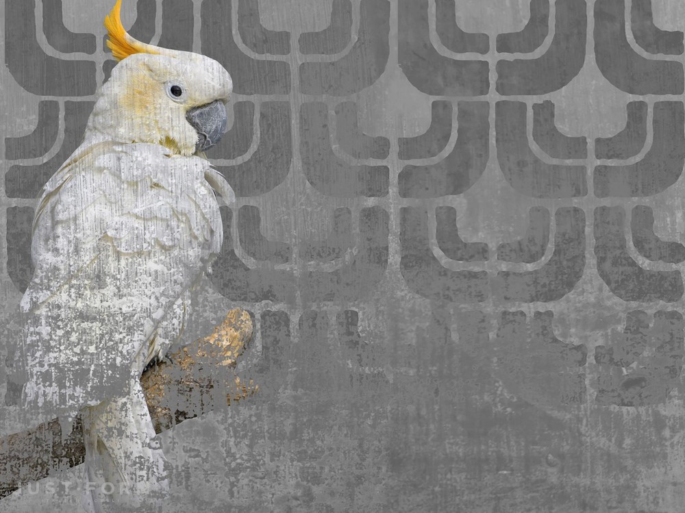  Cockatoo фабрика Wall & Deco фотография № 3