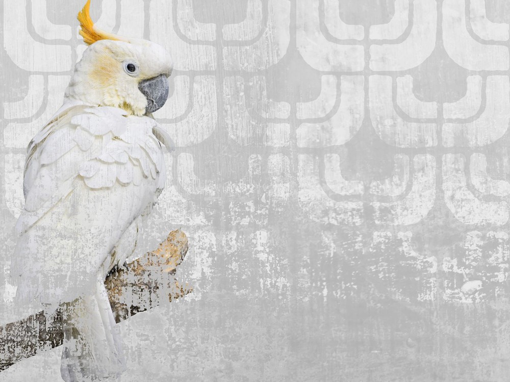  Cockatoo фабрика Wall & Deco фотография № 5