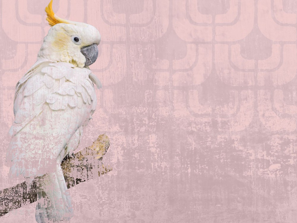  Cockatoo фабрика Wall & Deco фотография № 7