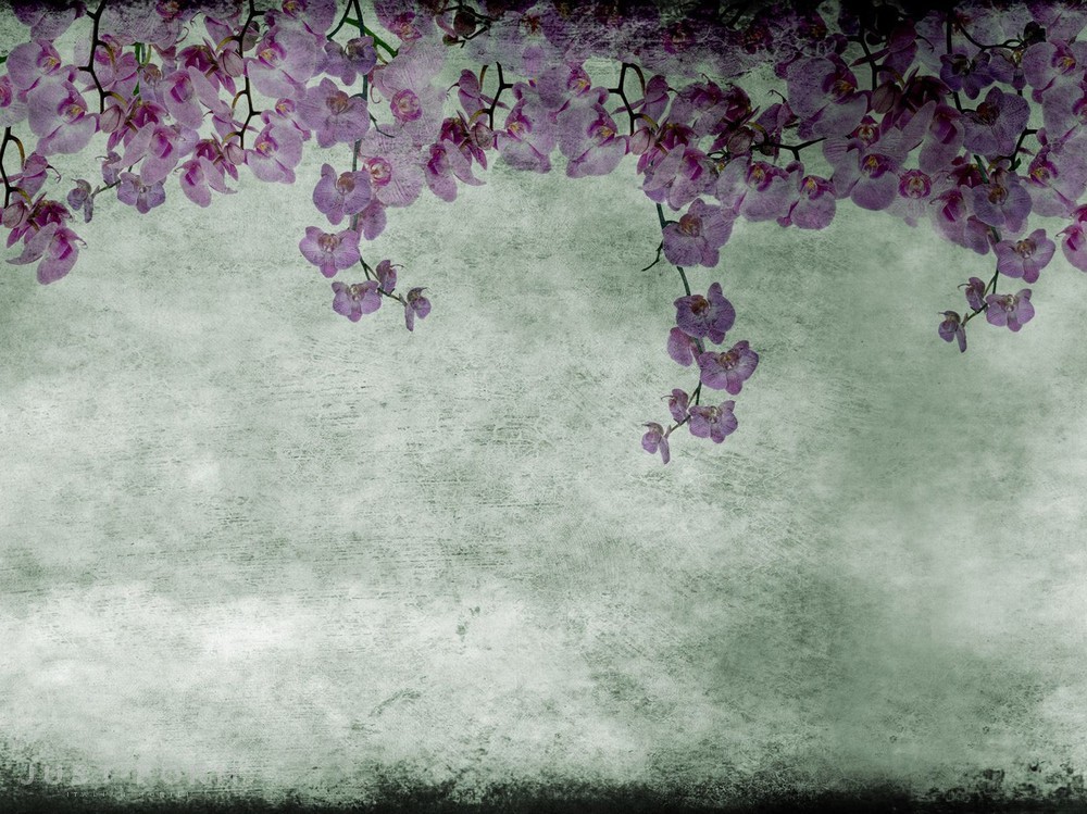  Eden фабрика Wall & Deco фотография № 1