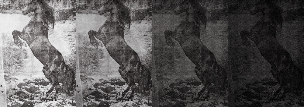 Обои El Caballo De Andy фабрика Wall & Deco фотография № 3