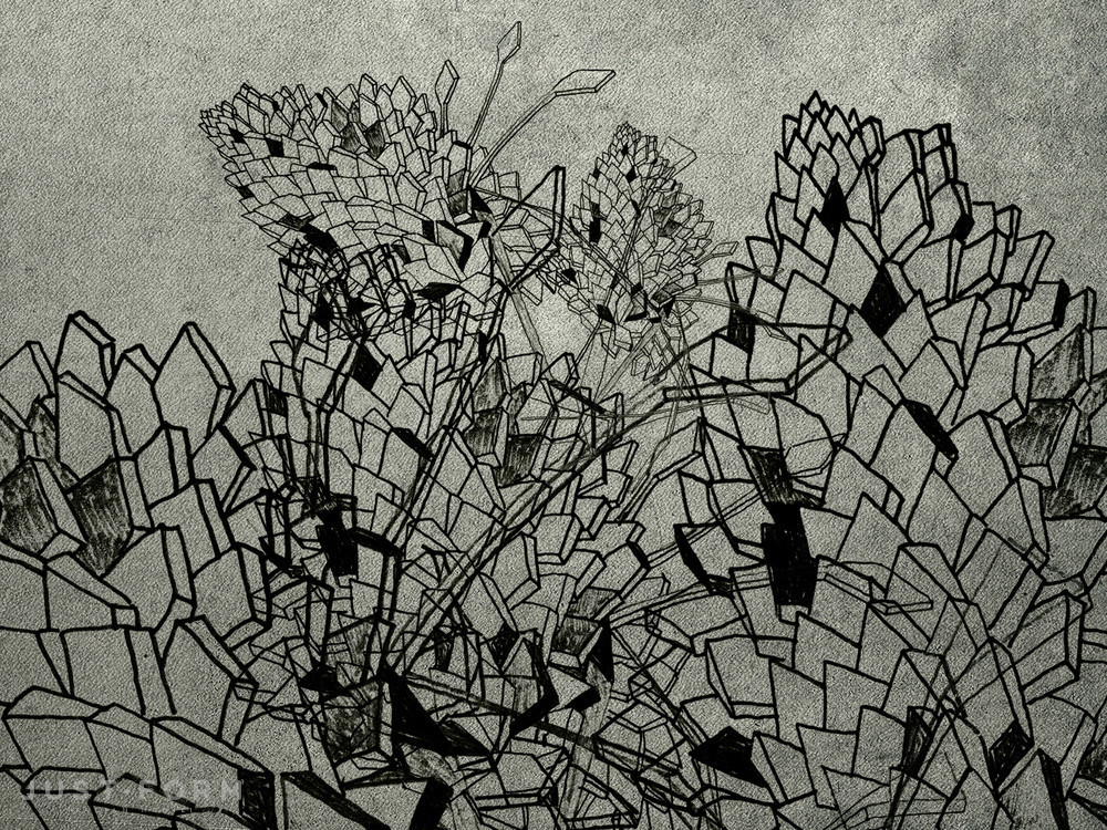  Drawing фабрика Wall & Deco фотография № 4