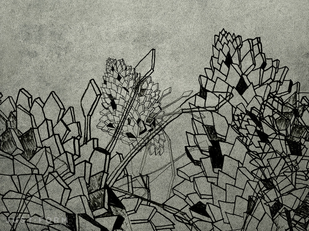  Drawing фабрика Wall & Deco фотография № 6