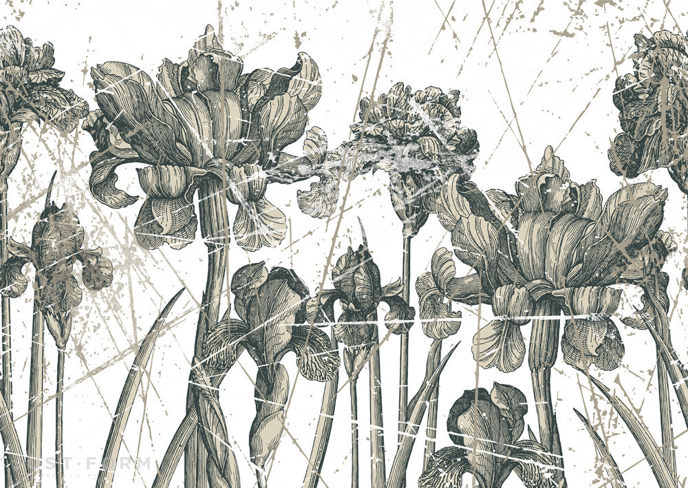 Обои Herbarium фабрика Wall & Deco фотография № 4