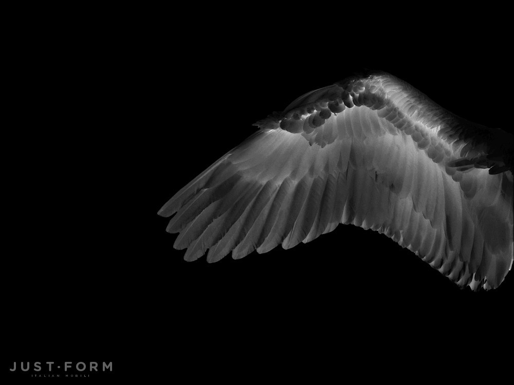 Обои White Angel фабрика Wall & Deco фотография № 4