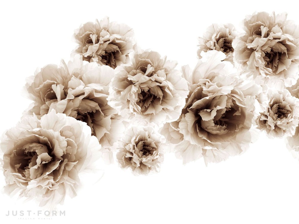  Aires фабрика Wall & Deco фотография № 3