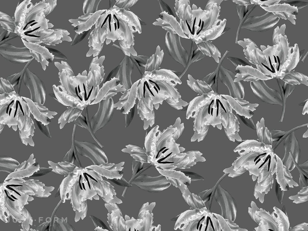  Flos фабрика Wall & Deco фотография № 3