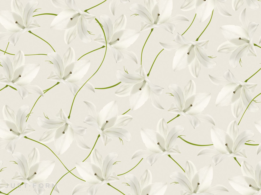  Flos фабрика Wall & Deco фотография № 4