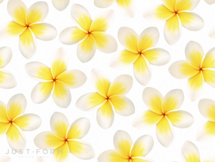  Flos фабрика Wall & Deco фотография № 5