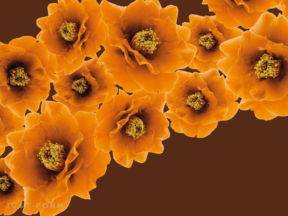  Bloom фабрика Wall & Deco фотография № 2