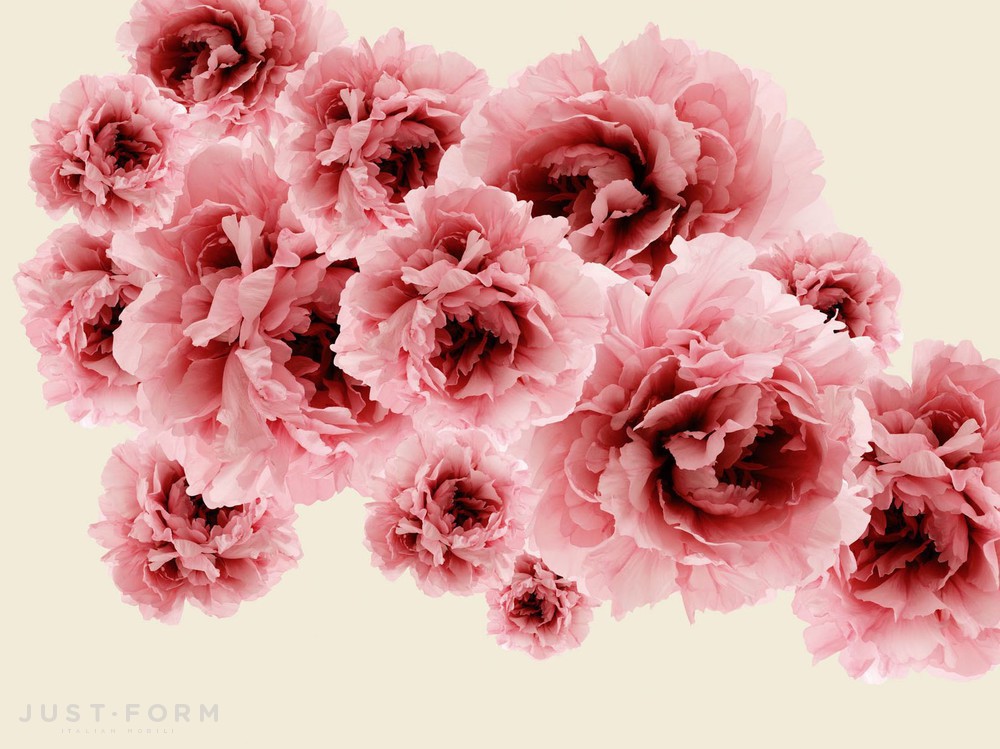  Bloom фабрика Wall & Deco фотография № 8