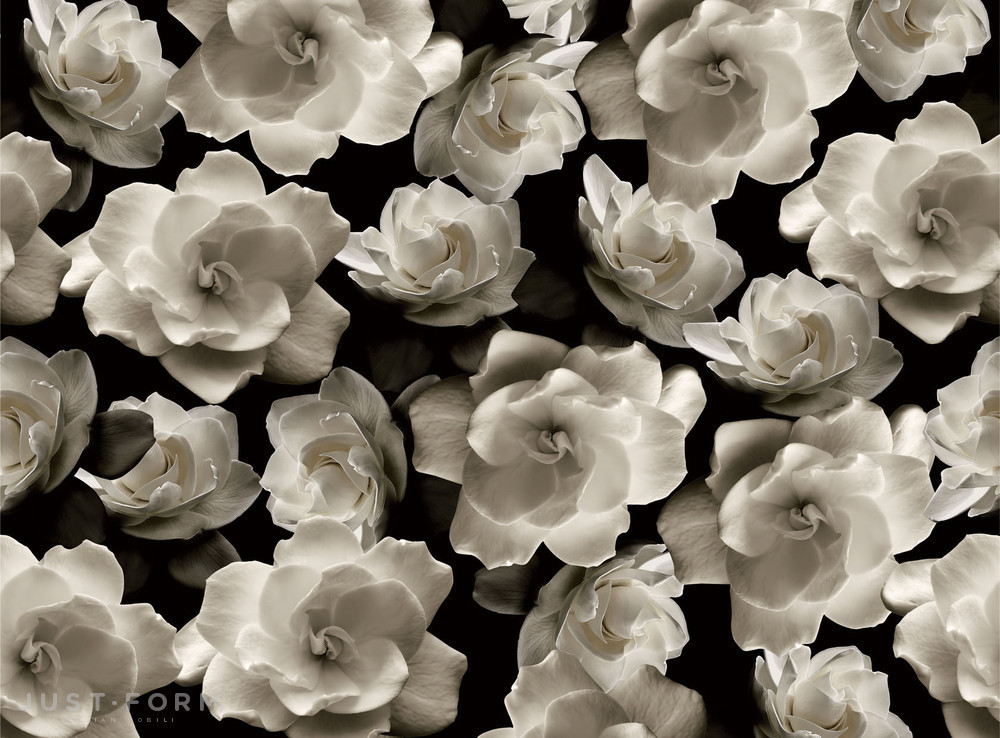  Bloom фабрика Wall & Deco фотография № 5