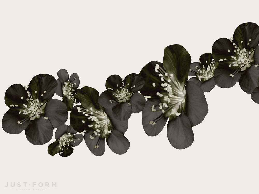  Bloom фабрика Wall & Deco фотография № 6
