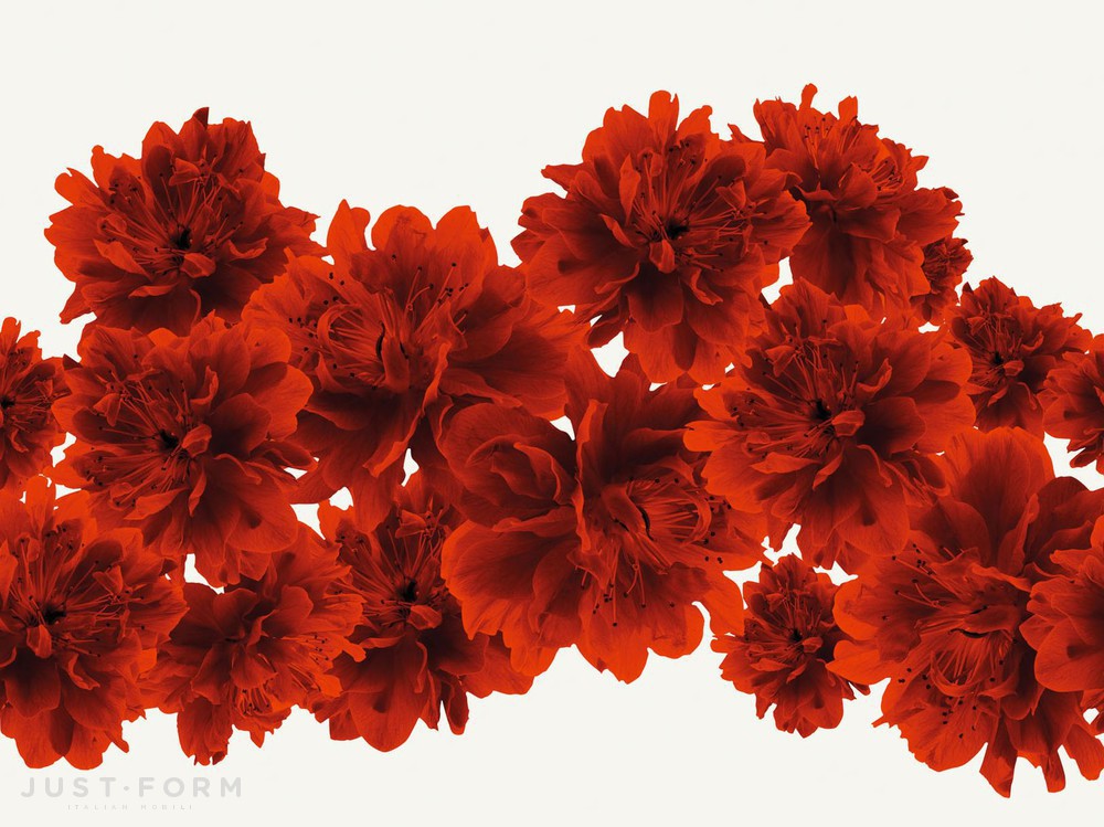  Bloom фабрика Wall & Deco фотография № 7