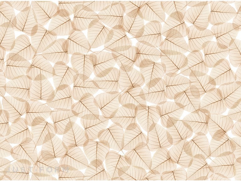  Jungle фабрика Wall & Deco фотография № 3