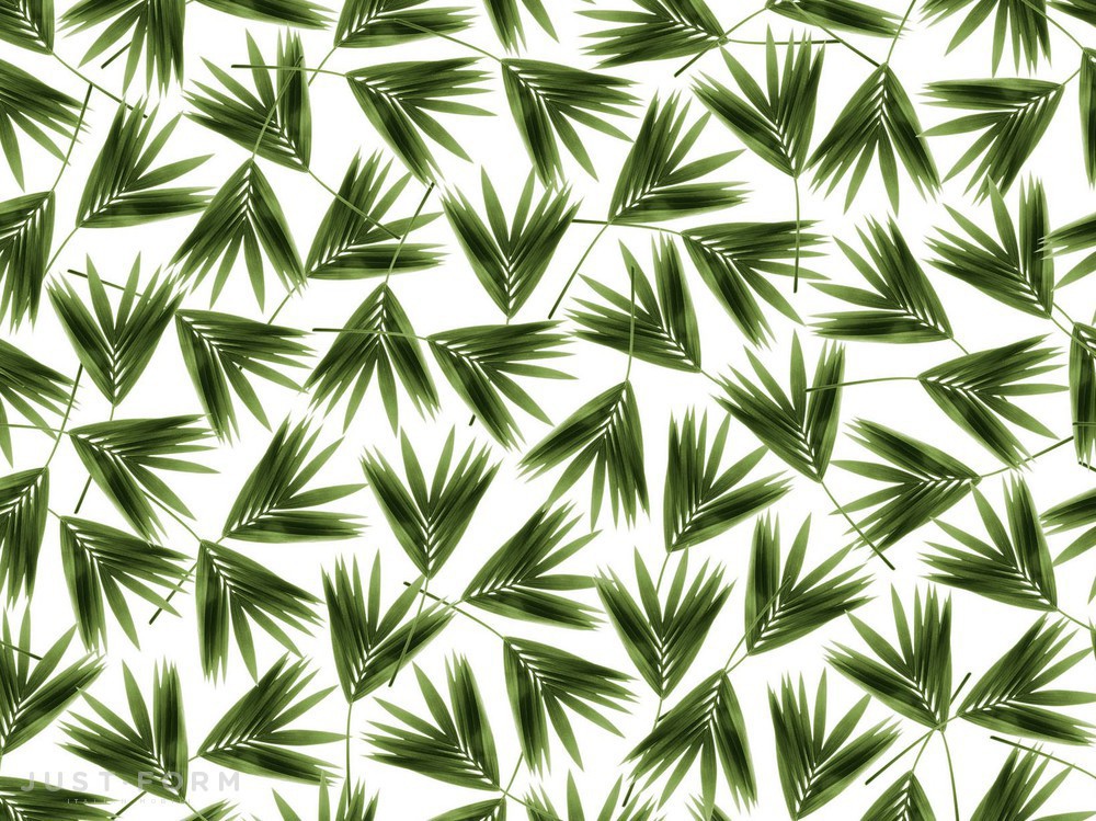  Jungle фабрика Wall & Deco фотография № 8