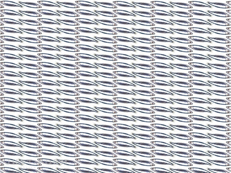  Optical фабрика Wall & Deco фотография № 8