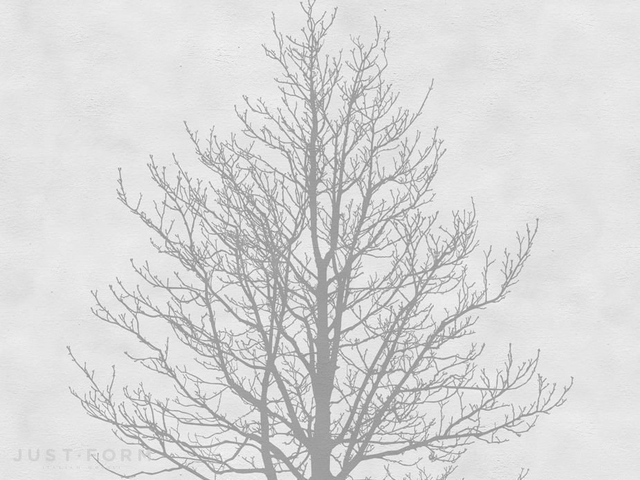 Обои Tree фабрика Wall & Deco фотография № 1