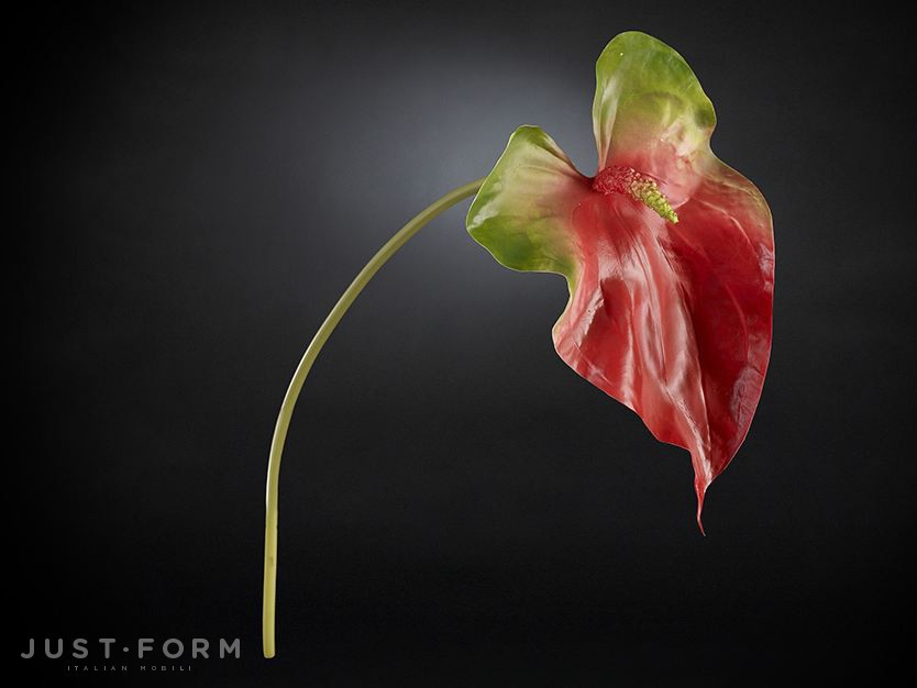 Искусственное растение Anthurium Giant фабрика VGnewtrend фотография № 1