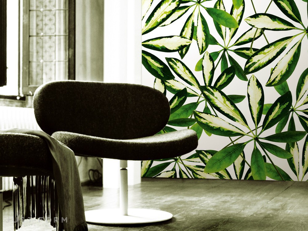 Обои Jungle фабрика Wall & Deco фотография № 1