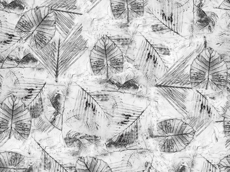 Обои Traces фабрика Wall & Deco фотография № 1