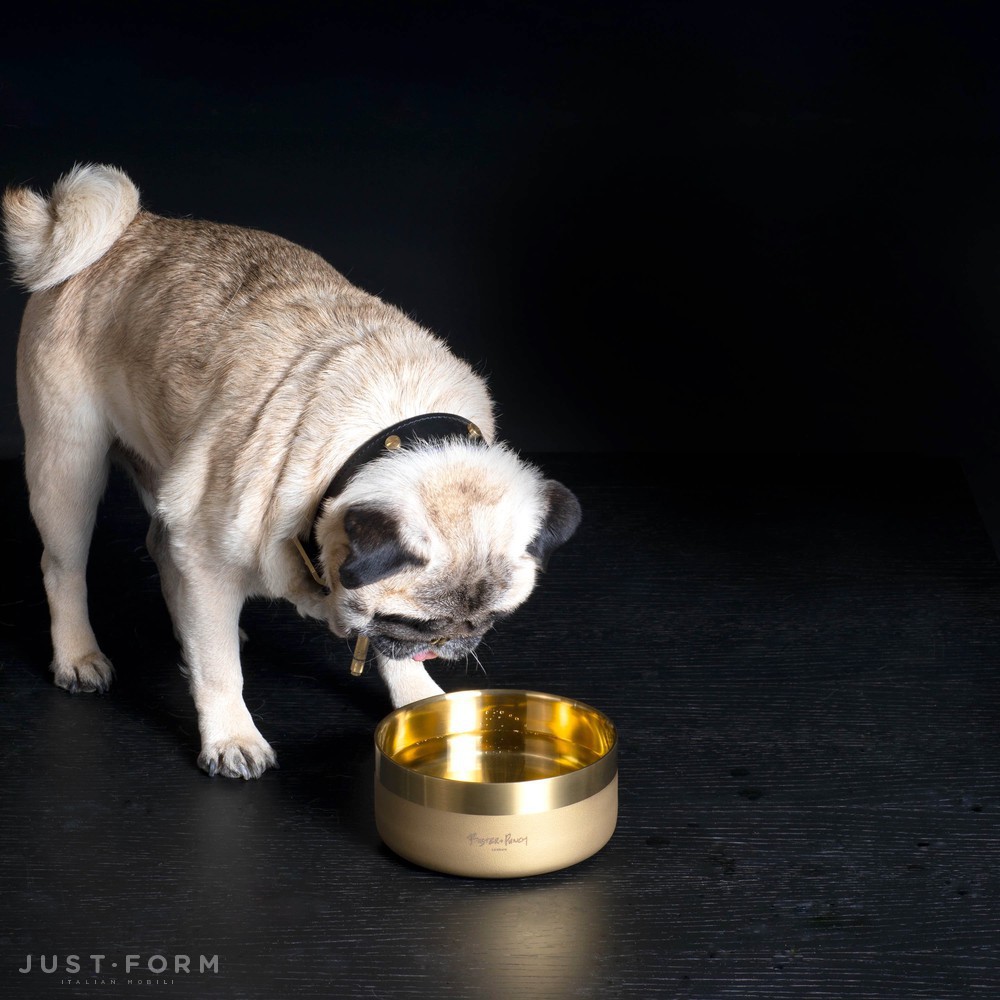 Миска для собаки Dog Bowl / Small / Brass фабрика Buster + Punch фотография № 4