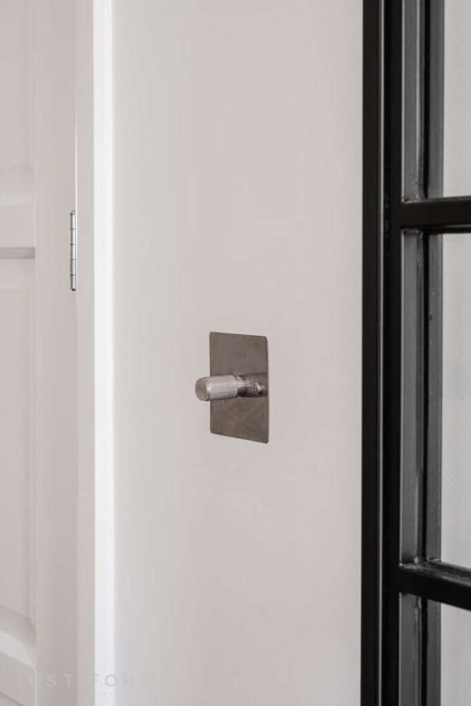 Двойной диммер 2G Dimmer / White / Brass фабрика Buster + Punch фотография № 21