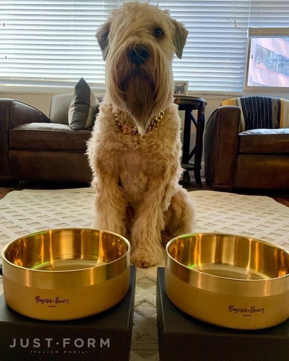 Миска для собаки Dog Bowl / Large / Brass фабрика Buster + Punch фотография № 7