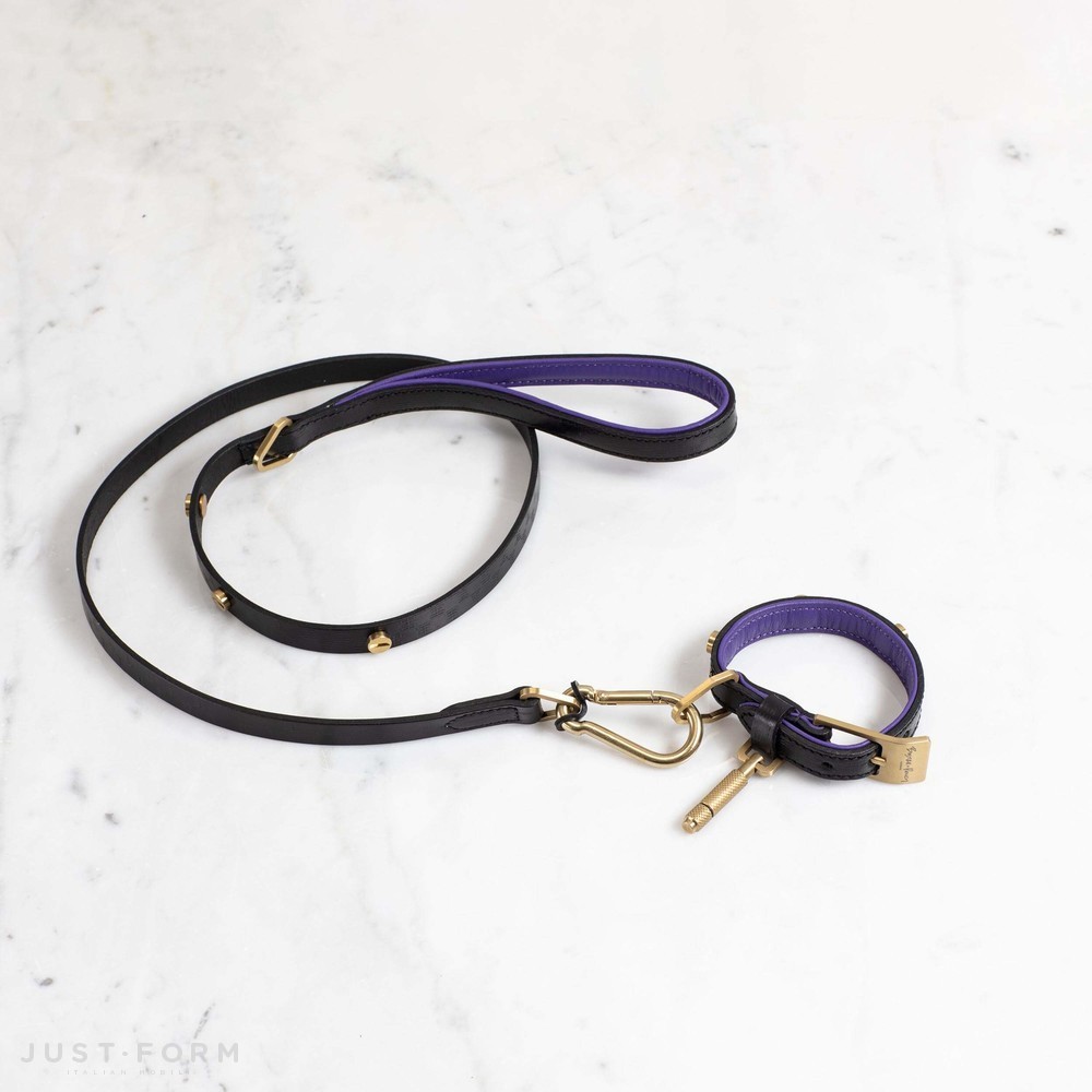 Ошейник с поводком Dog Collar & Lead / Black / Purple / Brass фабрика Buster + Punch фотография № 2