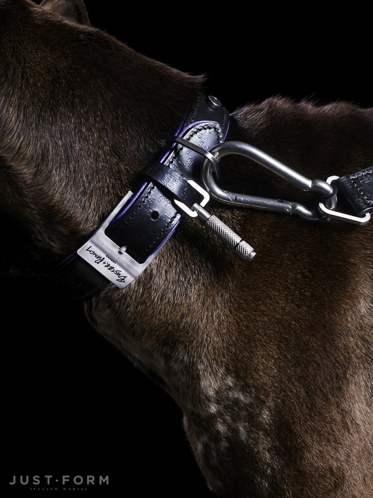 Ошейник с поводком Dog Collar & Lead / Black / Purple / Steel фабрика Buster + Punch фотография № 8