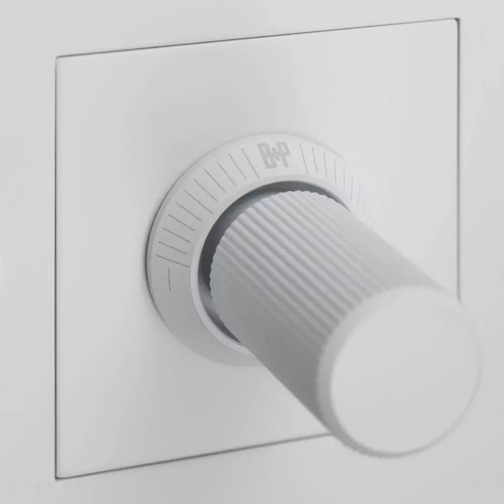 Одинарный диммер 1G Dimmer / 250W LED / Linear / White фабрика Buster + Punch фотография № 3