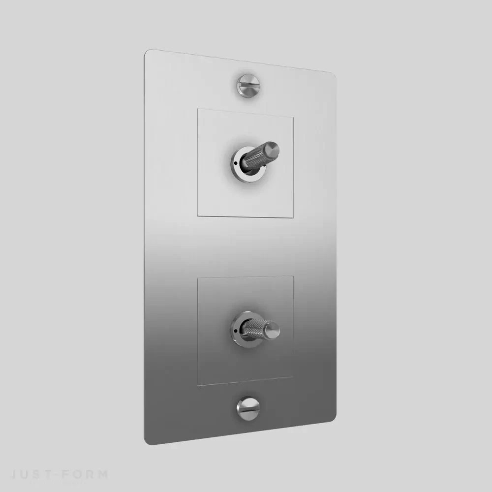 Двухтумблерный выключатель 2G Toggle / Vertical / Cross / Steel фабрика Buster + Punch фотография № 1