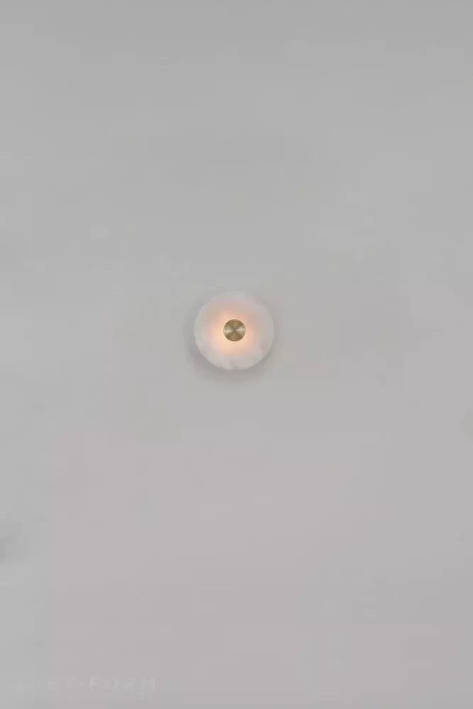 Бра и потолочный светильник Bide Wall & Ceiling Light фабрика Bert Frank фотография № 4