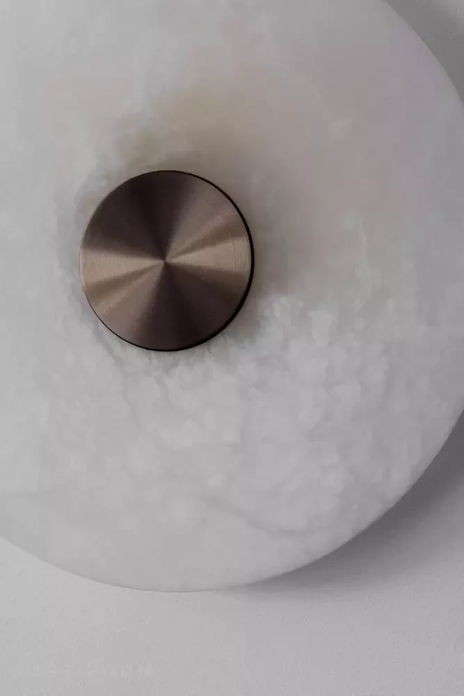 Бра и потолочный светильник Bide Wall & Ceiling Light фабрика Bert Frank фотография № 6